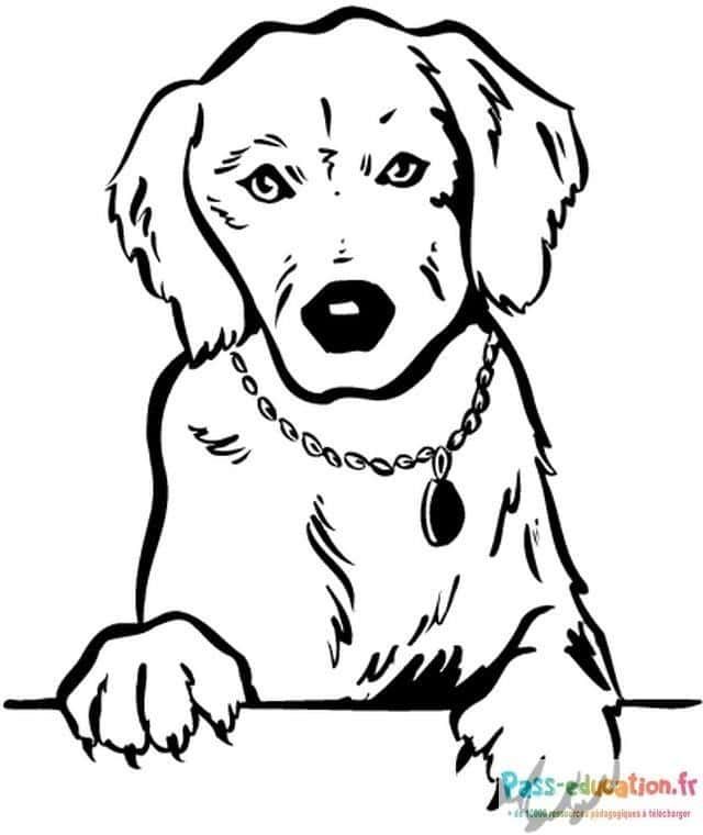 Coloriage Chien attentif à imprimer et colorier