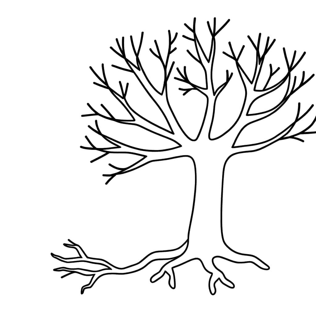 Coloriage Arbre sans feuille à imprimer et colorier