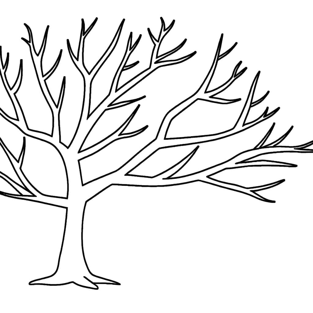 Coloriage Arbre sans feuilles à imprimer et colorier