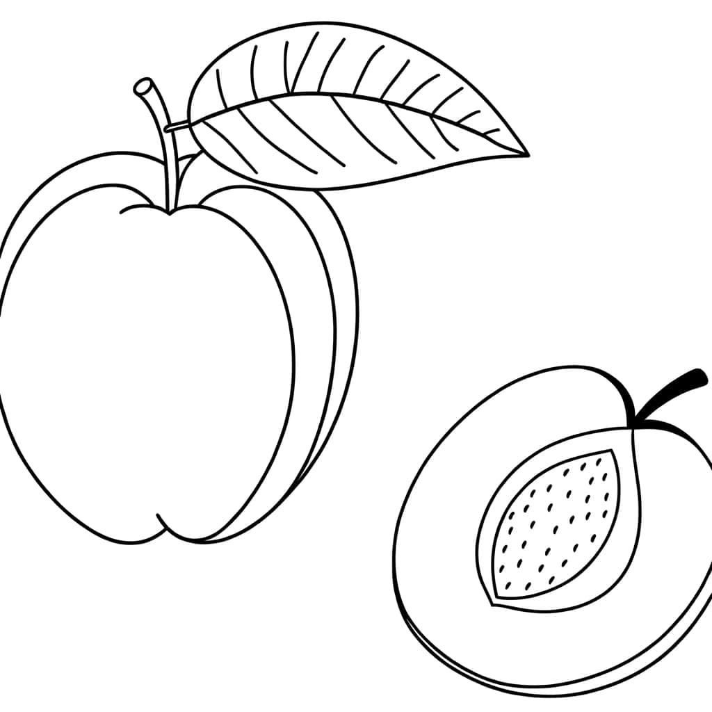 Coloriage Abricot coupé à imprimer et colorier