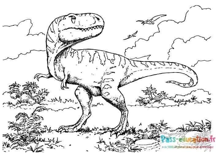 Coloriage T-Rex préhistorique à imprimer et colorier