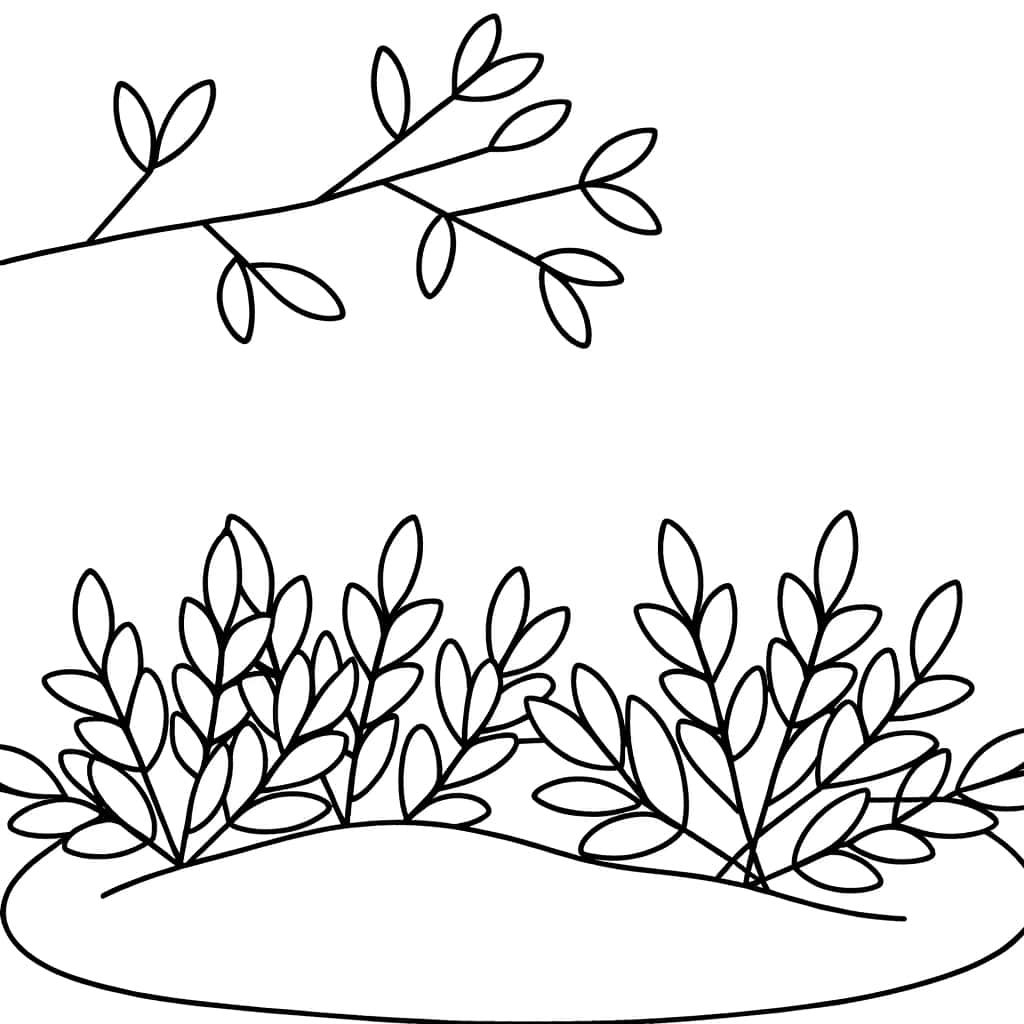 Coloriage Buisson à imprimer et colorier