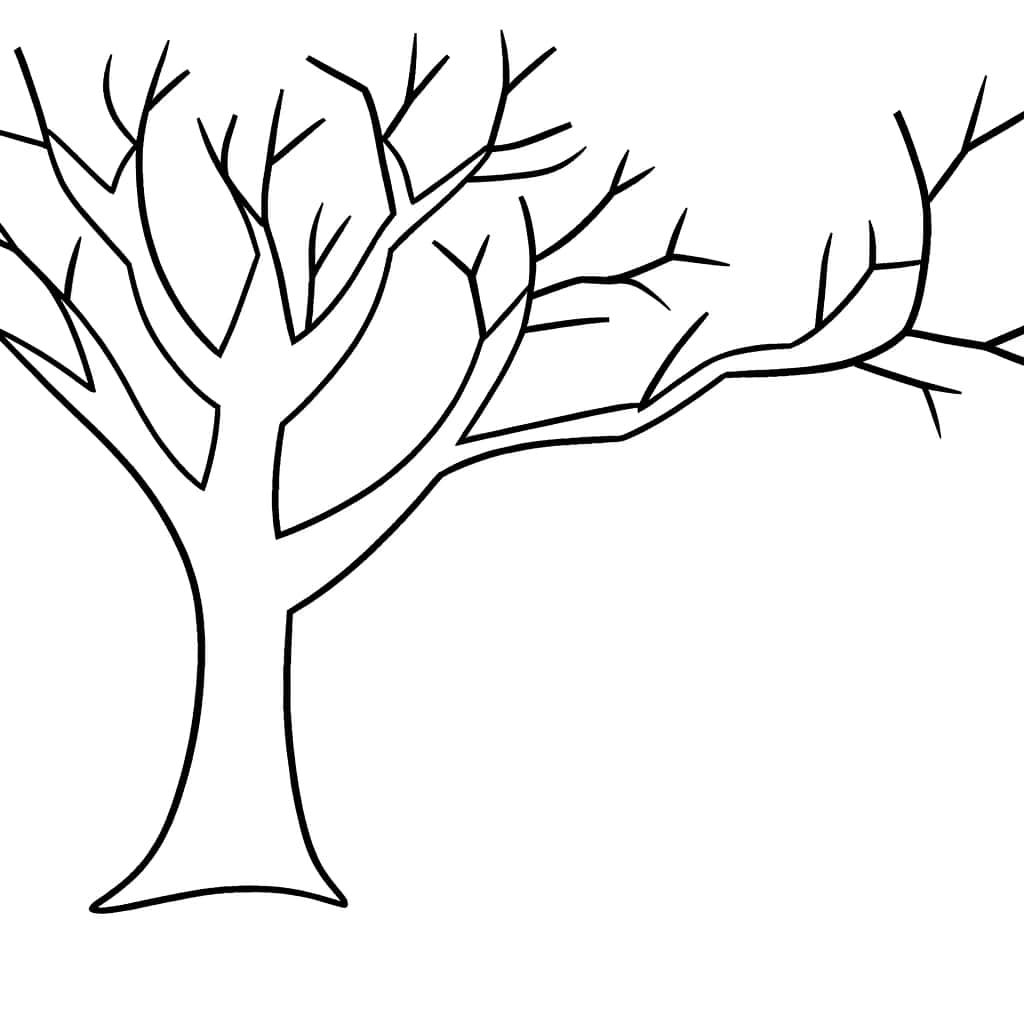 Coloriage Arbre Sans Feuille à imprimer et colorier