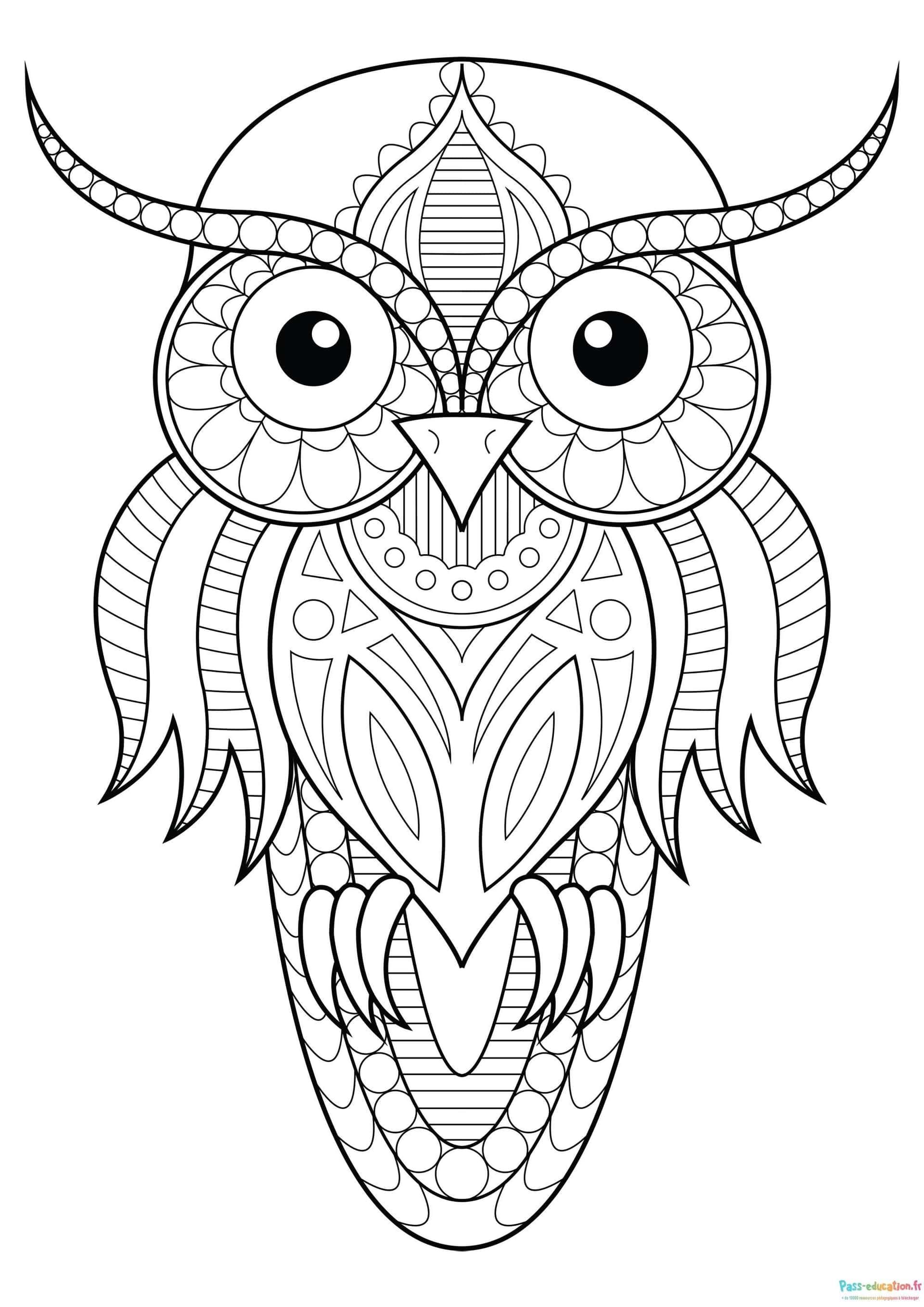 Coloriage Hibou mandala à imprimer et colorier