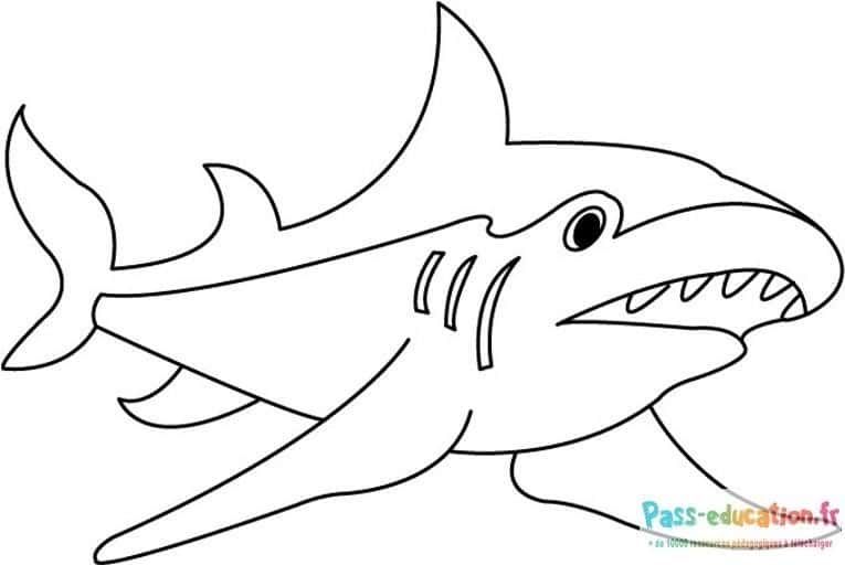 Coloriage Requin souriant à imprimer et colorier