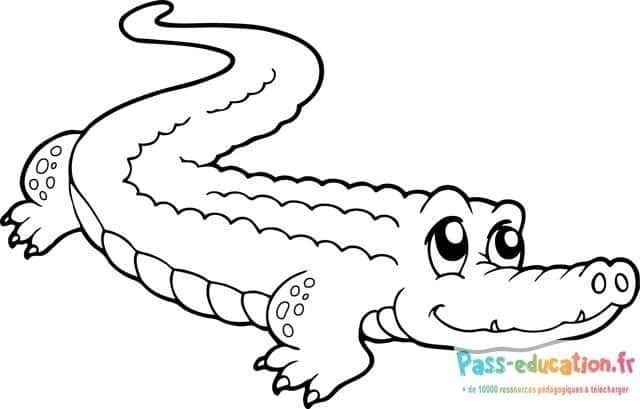Coloriage Crocodile souriant à imprimer et colorier
