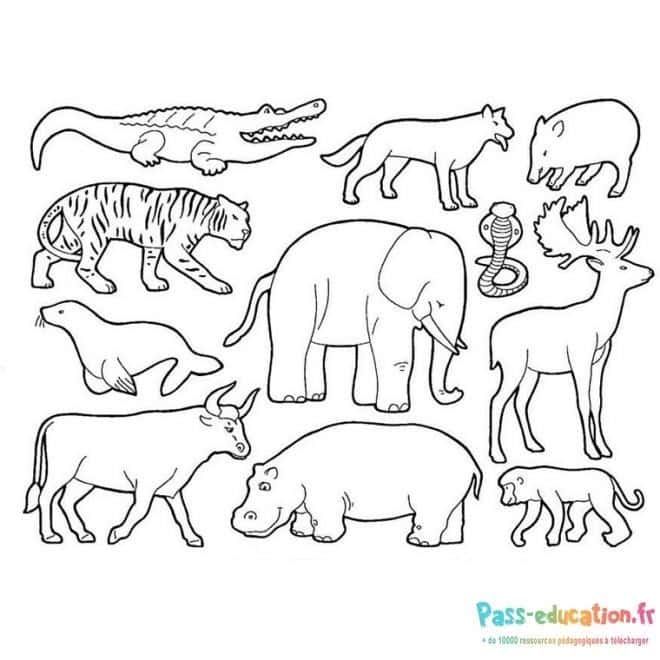 Coloriage Animaux sauvages à imprimer et colorier