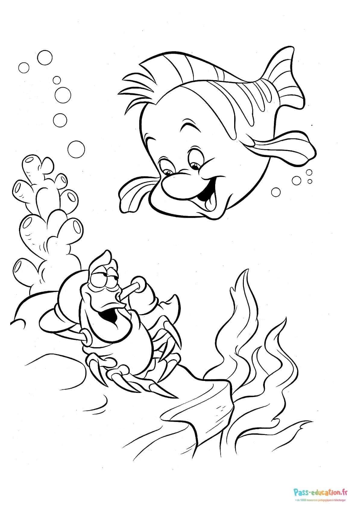Coloriage Amis marins à imprimer et colorier