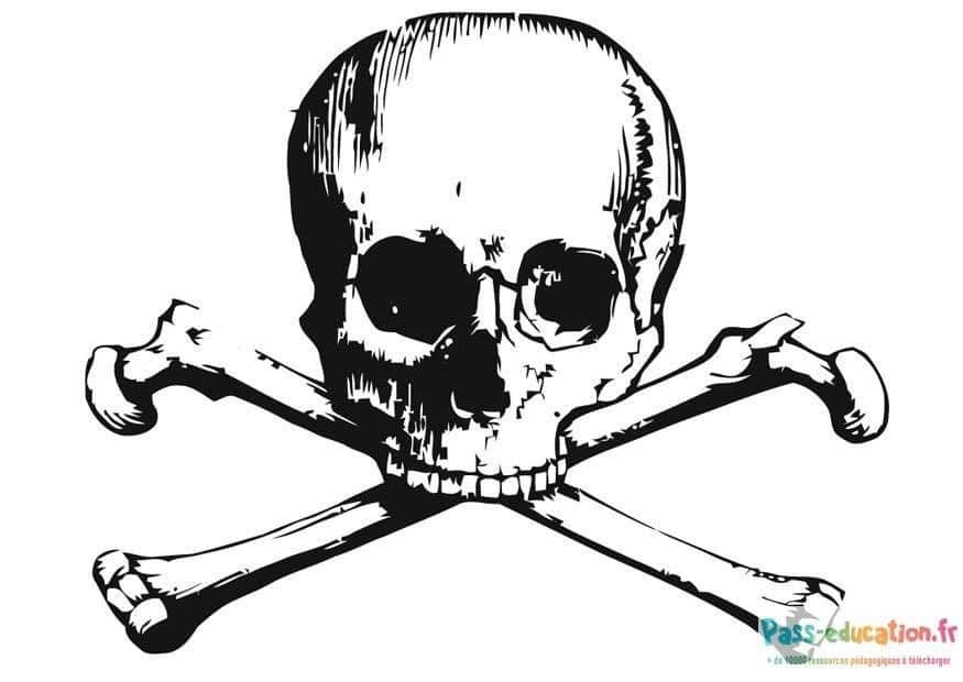 Coloriage Tête de mort pirate à imprimer et colorier