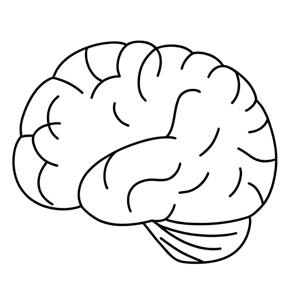 Coloriage Cerveau à imprimer et colorier