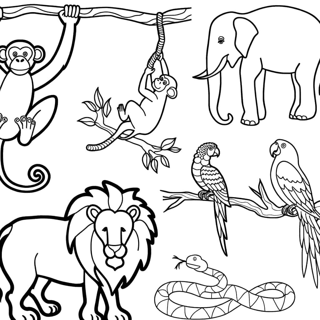 Coloriage Animaux de la jungle à imprimer et colorier
