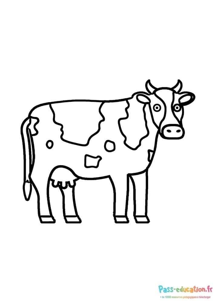 Coloriage Vache dessin simple à imprimer et colorier