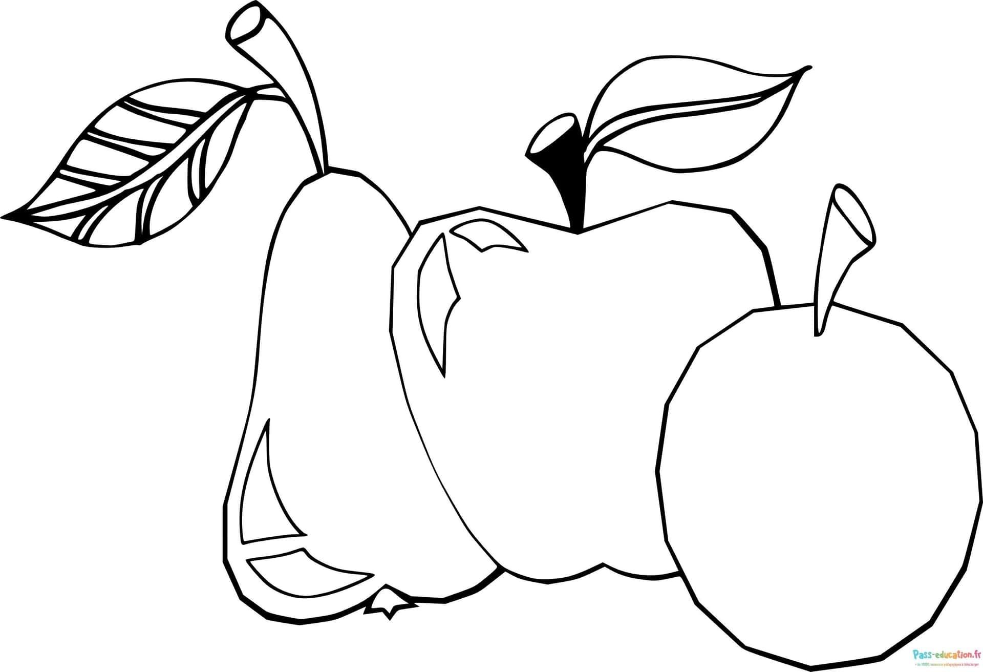 Coloriage Trio de fruits à imprimer et colorier
