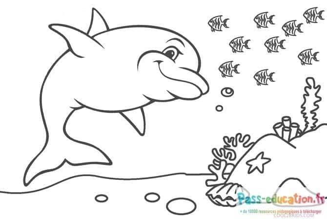 Coloriage Dauphin et poissons à imprimer et colorier