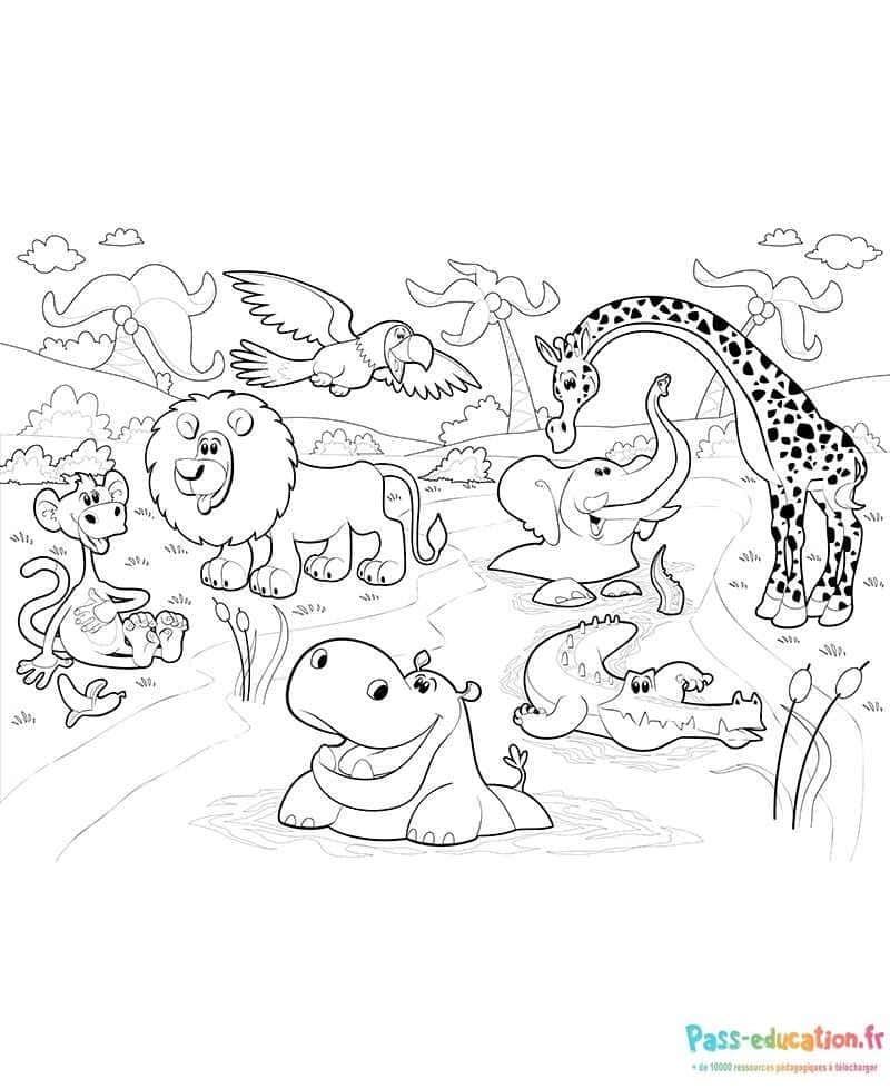 Coloriage Animaux de la savane à imprimer et colorier