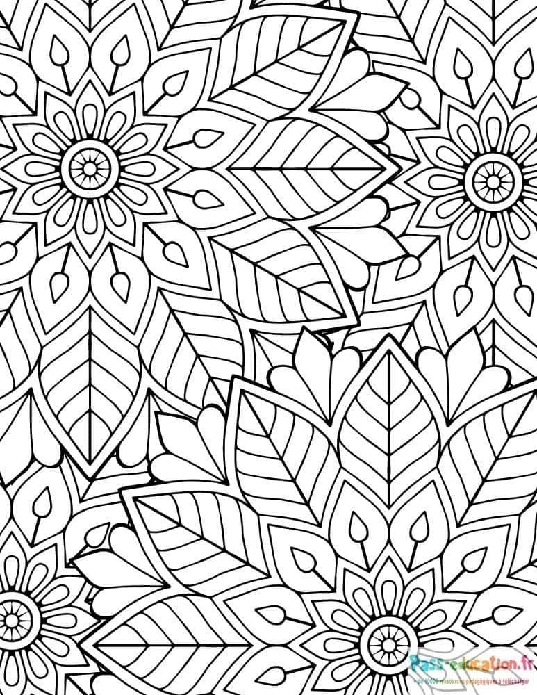 Coloriage Fleurs et feuilles à imprimer et colorier