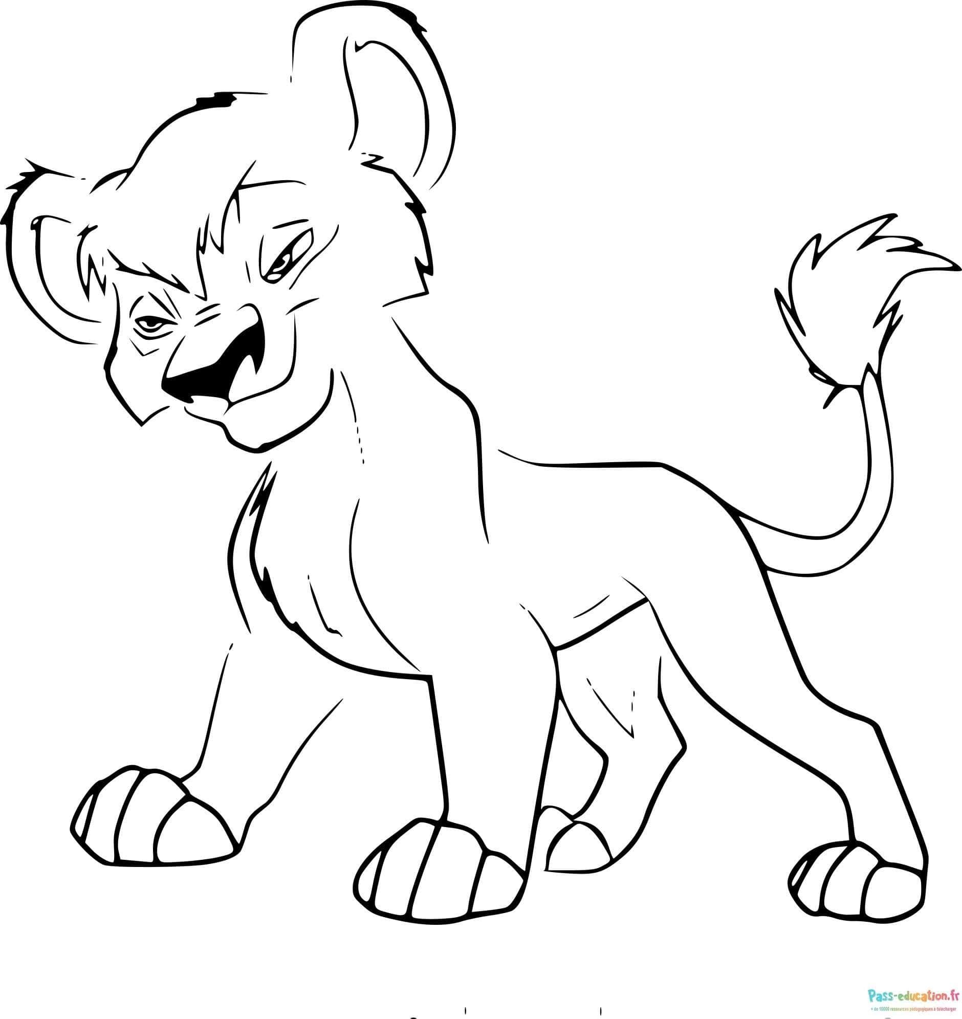 Coloriage Jeune lion colérique à imprimer et colorier