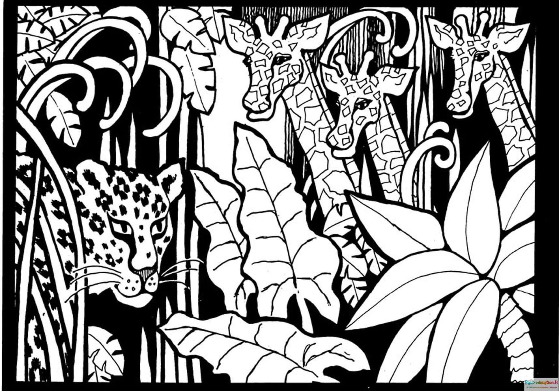 Coloriage Safari africain à imprimer et colorier