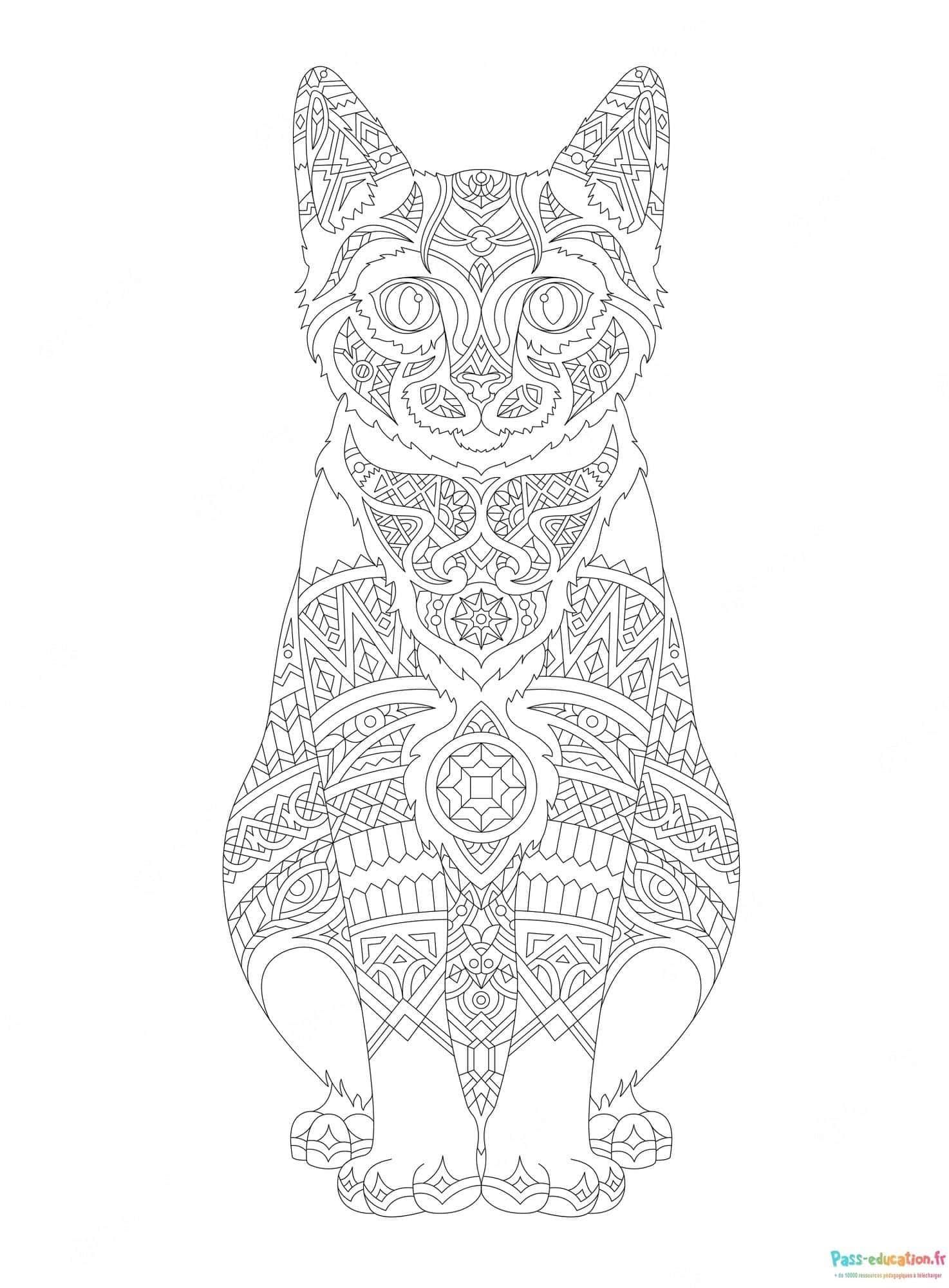 Coloriage Chat mandala à imprimer et colorier