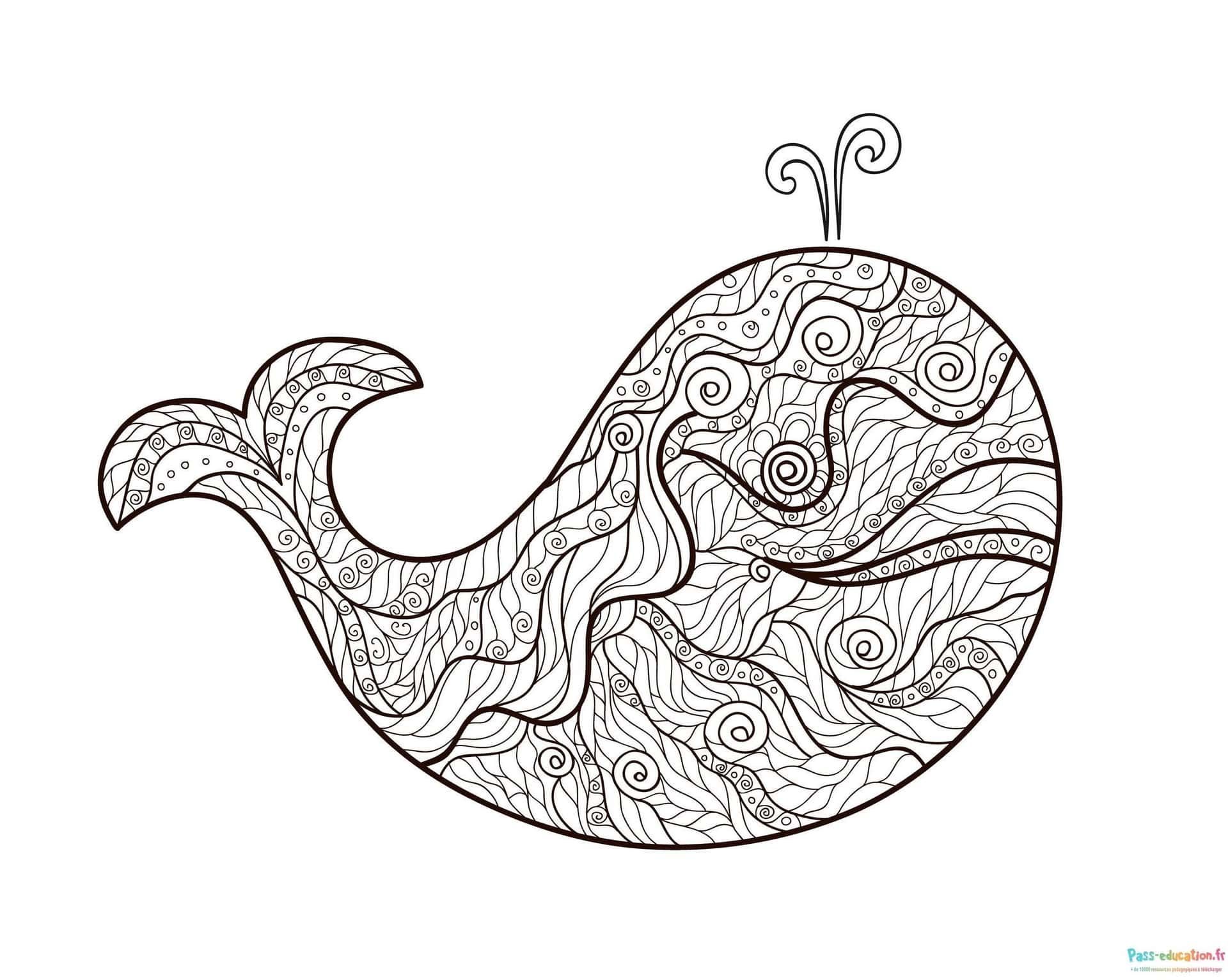 Coloriage Baleine artistique à imprimer et colorier