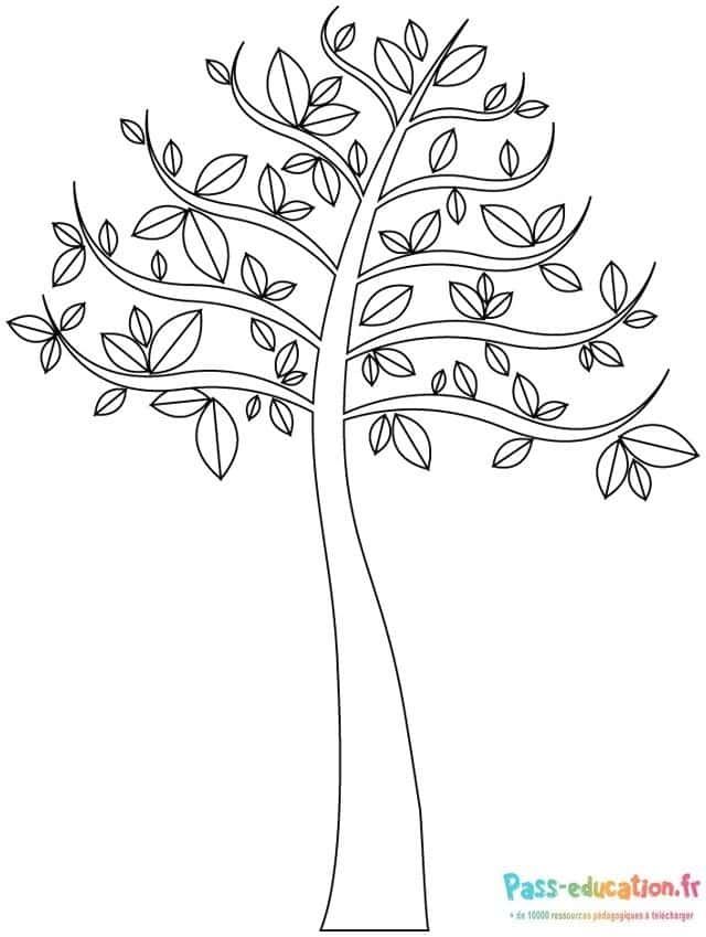 Coloriage Arbre élégant à imprimer et colorier