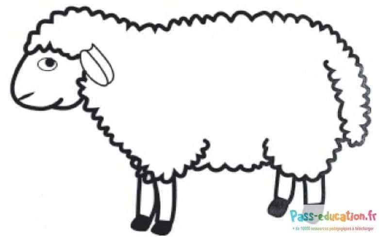Coloriage Mouton à imprimer et colorier