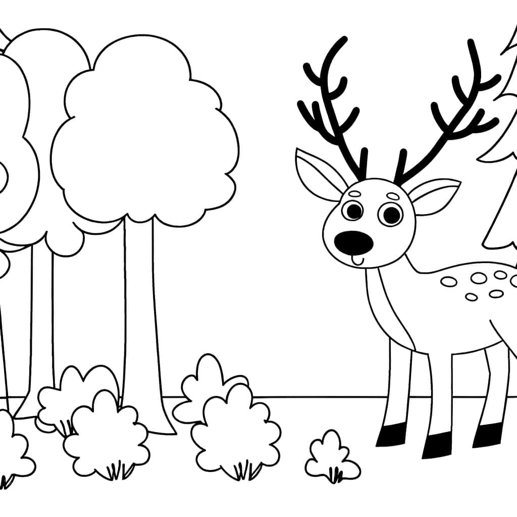 Coloriage Biche dans la forêt à imprimer et colorier