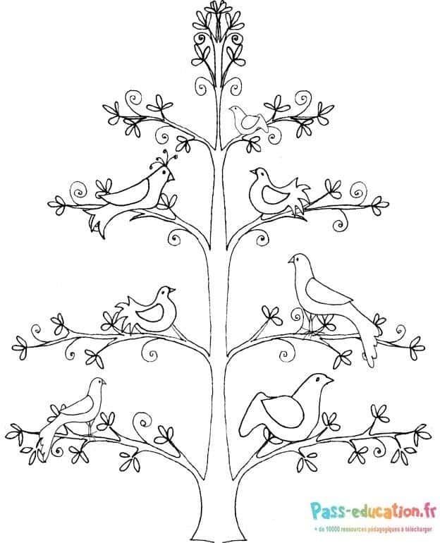 Coloriage Arbre et oiseaux à imprimer et colorier