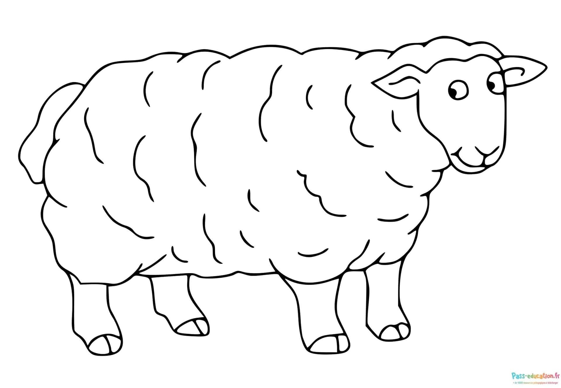 Coloriage Mouton doux à imprimer et colorier