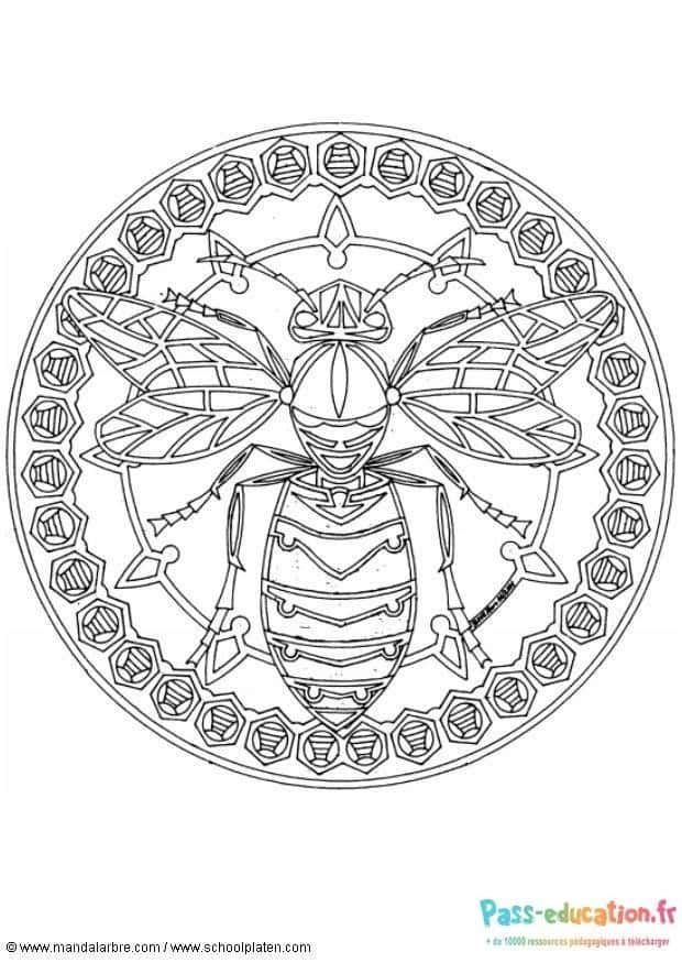 Coloriage Mandala Abeille à imprimer et colorier