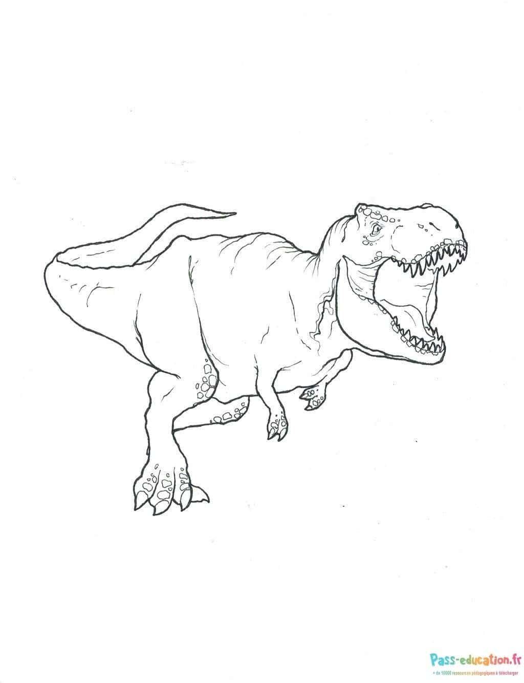 Coloriage Tyrannosaure rugissant à imprimer et colorier