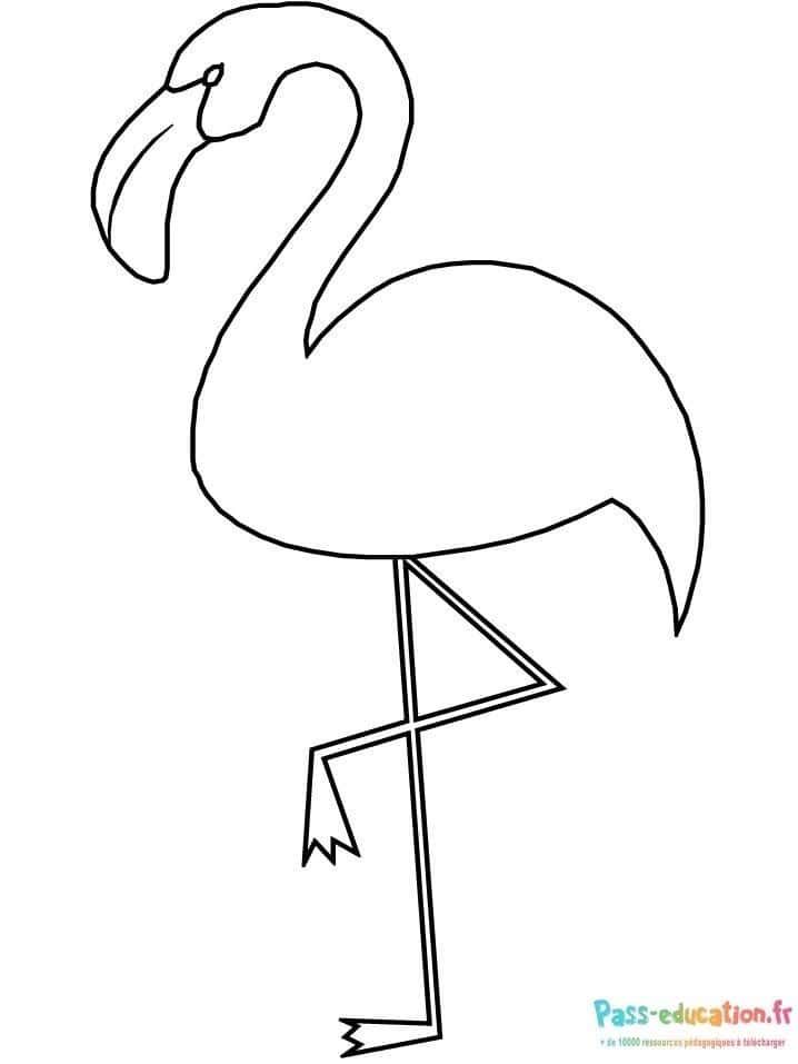 Coloriage Flamant rose à imprimer et colorier