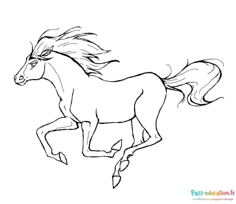 Coloriage Cheval galopant à imprimer et colorier