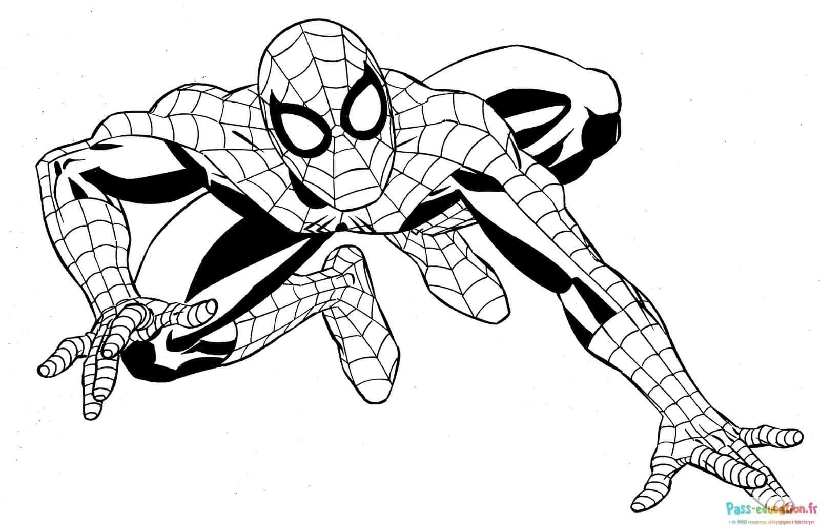 Coloriage Spider-Man agile à imprimer et colorier
