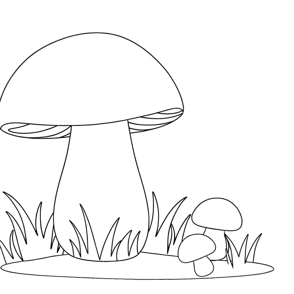 Coloriage Champignons en herbe à imprimer et colorier