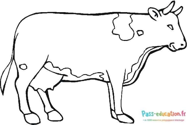 Coloriage Dessin vache à imprimer et colorier