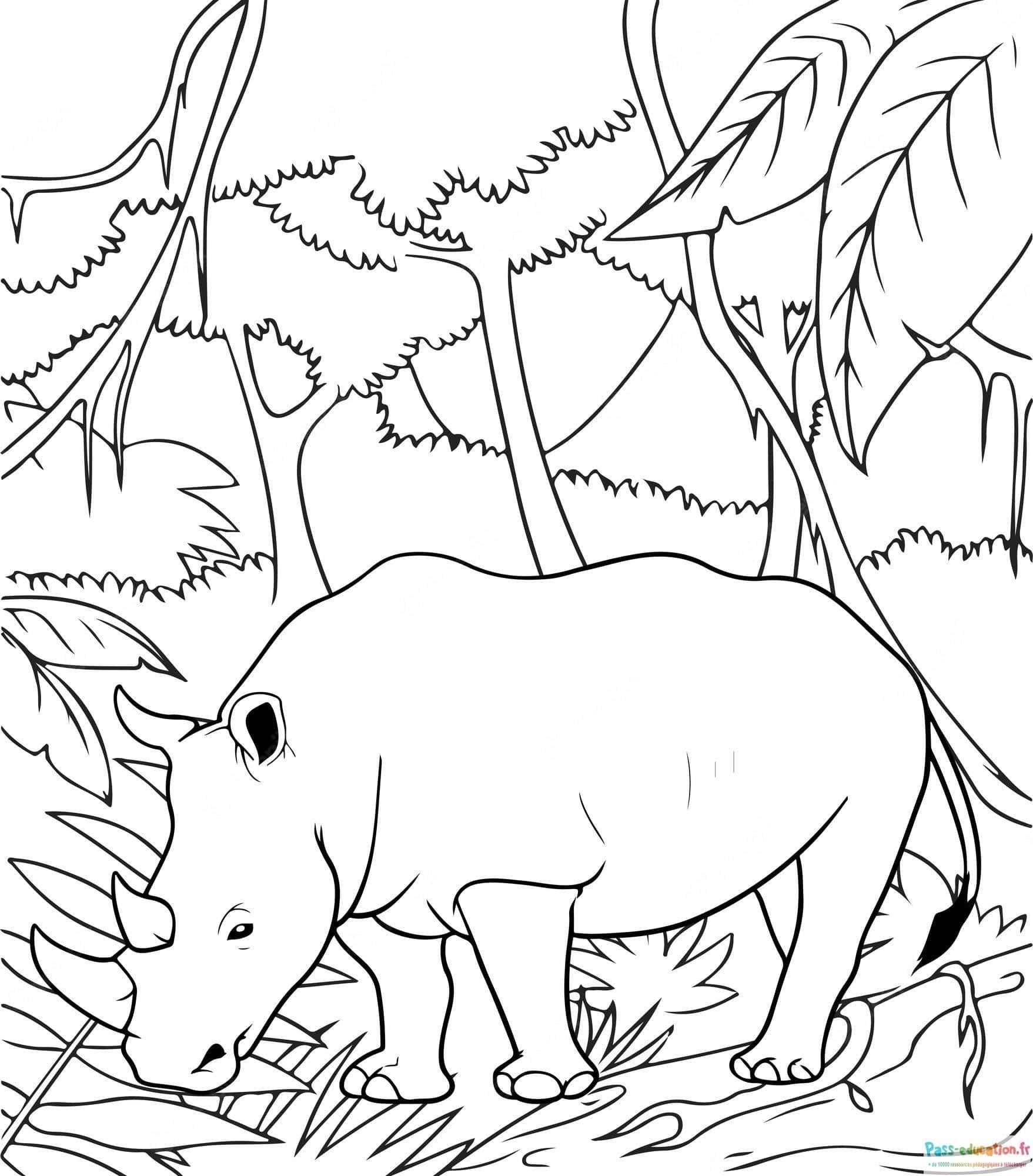 Coloriage Rhinocéros en jungle à imprimer et colorier