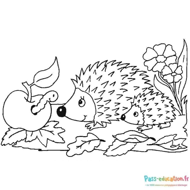 Coloriage Hérissons dans la forêt à imprimer et colorier