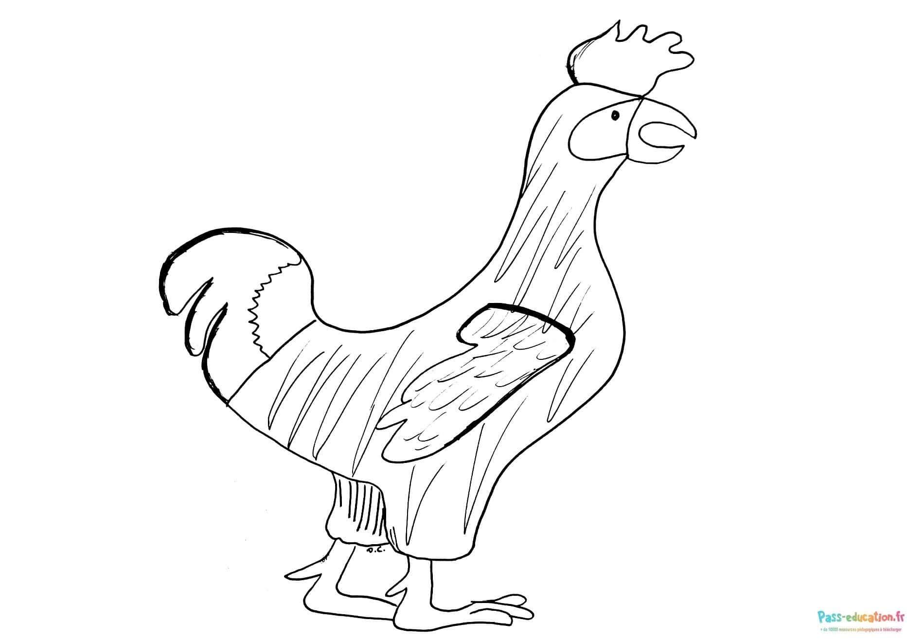 Coloriage Coq debout à imprimer et colorier