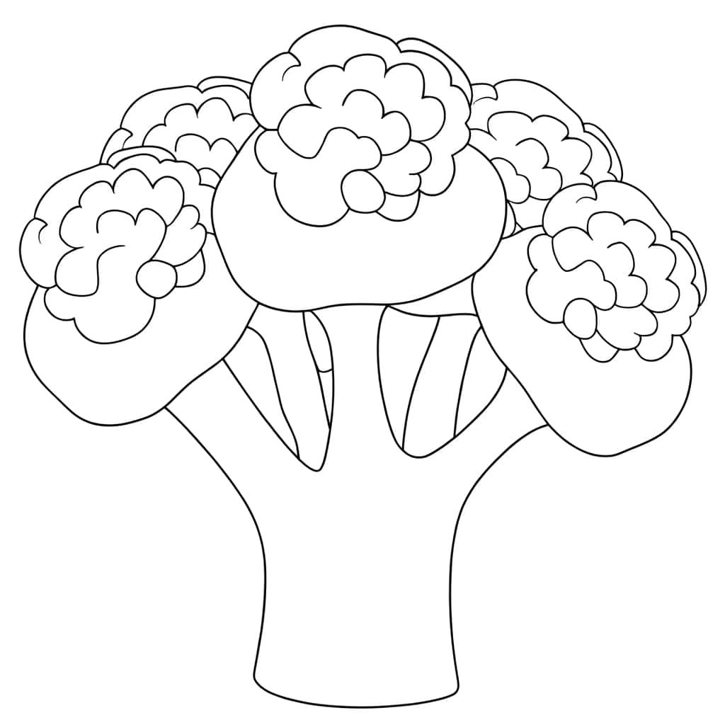 Coloriage Brocoli à imprimer et colorier