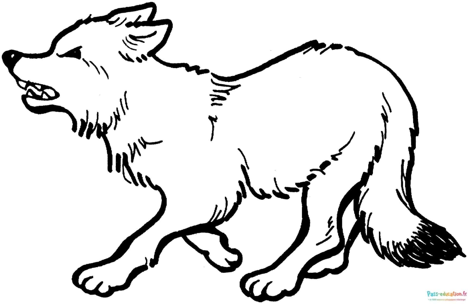 Coloriage Loup en marche à imprimer et colorier