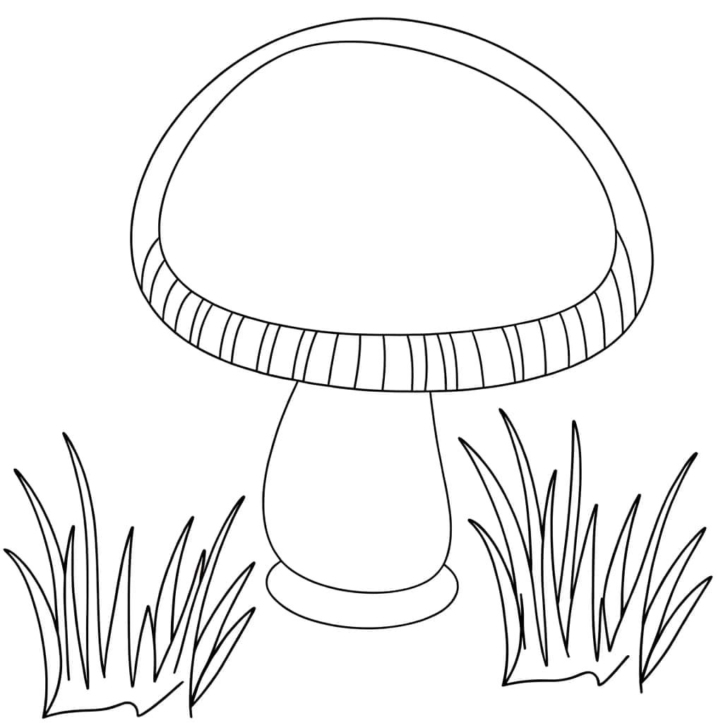 Coloriage Champignon stylisé à imprimer et colorier