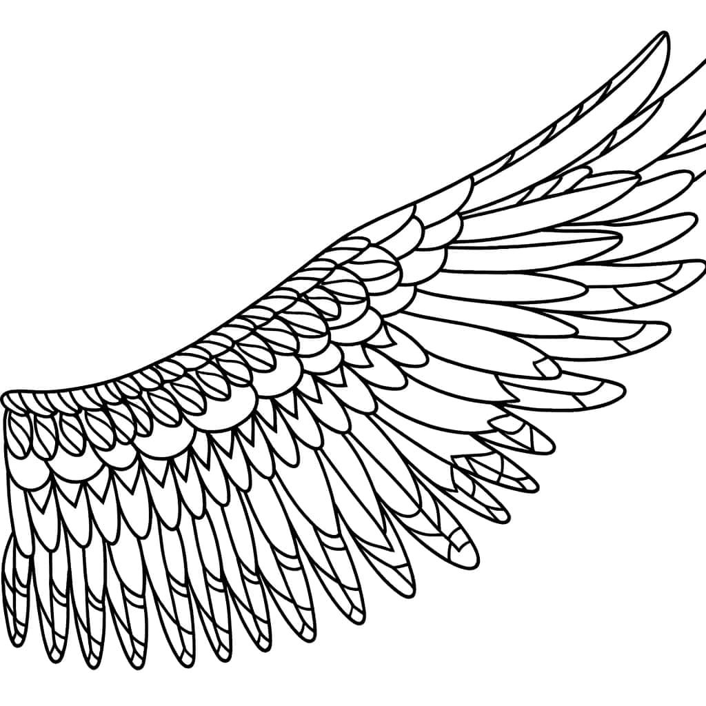 Coloriage Aile d'oiseau à imprimer et colorier