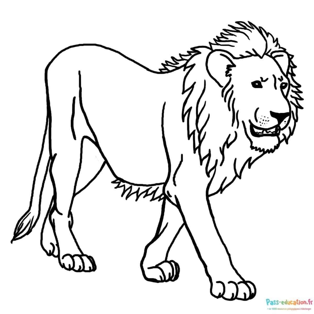 Coloriage Lion majestueux à imprimer et colorier