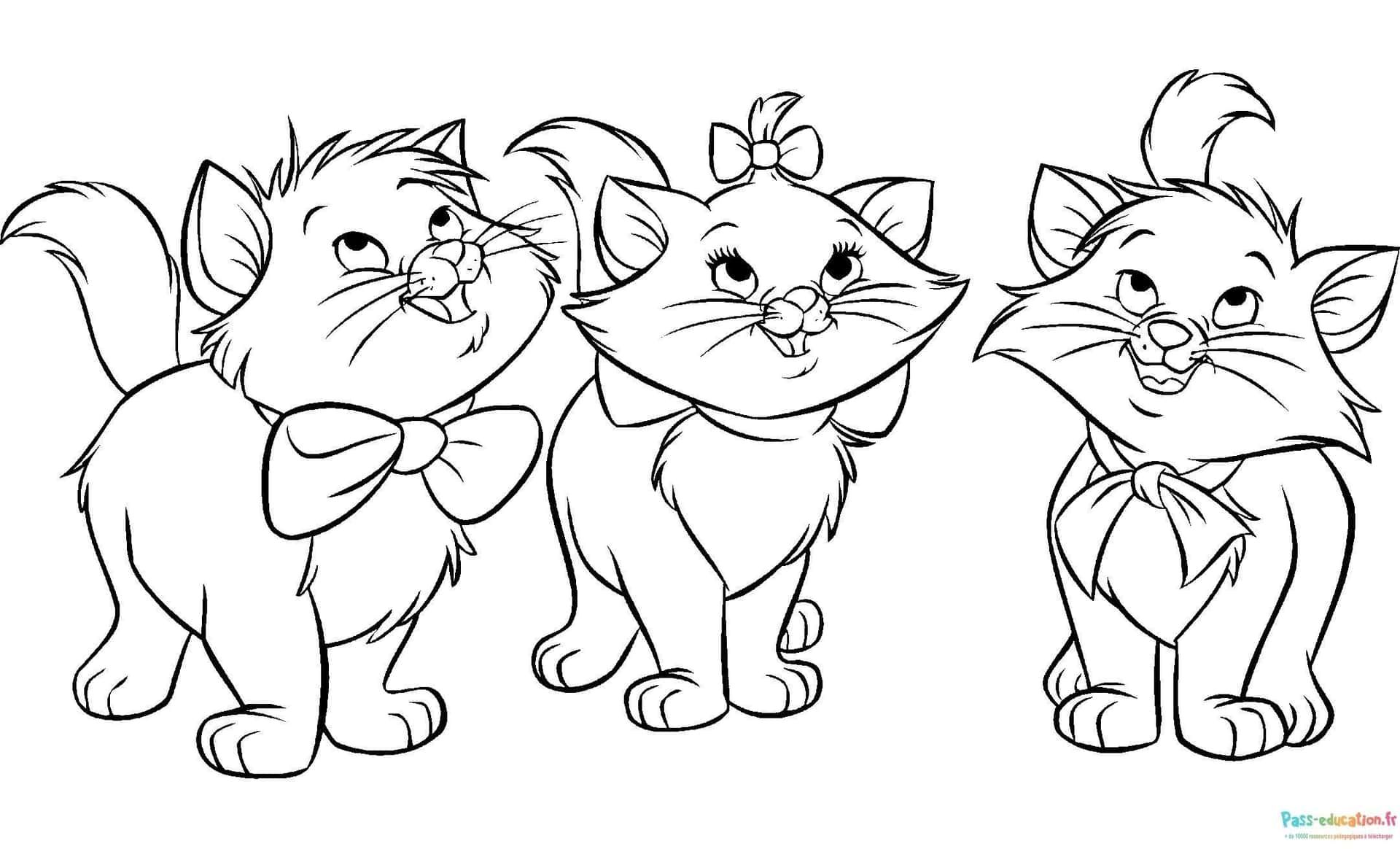 Coloriage Trio de chats aristocratiques à imprimer et colorier