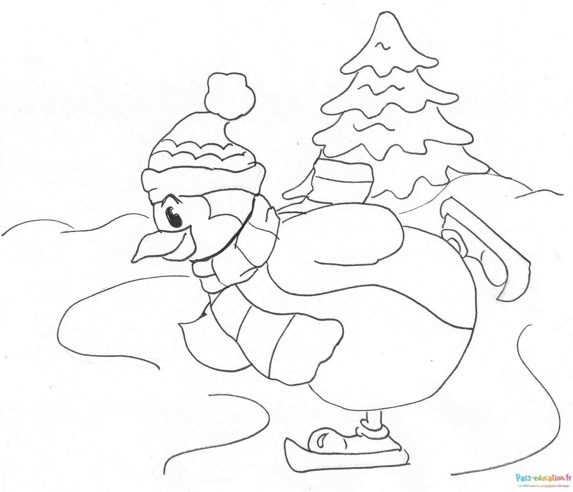 Coloriage Pingouin patineur à imprimer et colorier