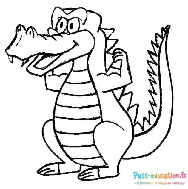 Coloriage Crocodile souriant à imprimer et colorier