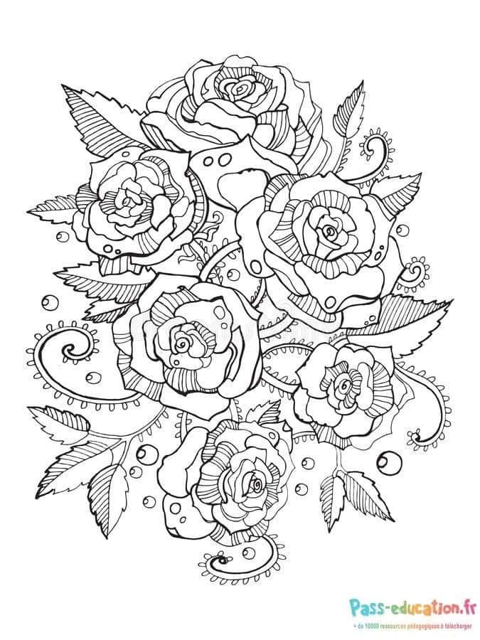 Coloriage Jardin de roses à imprimer et colorier