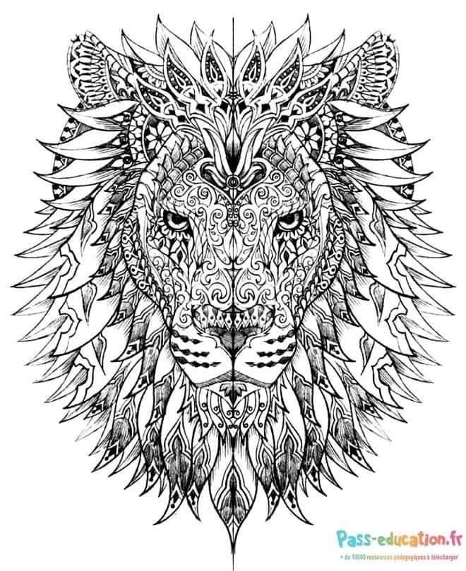 Coloriage Lion mandala à imprimer et colorier