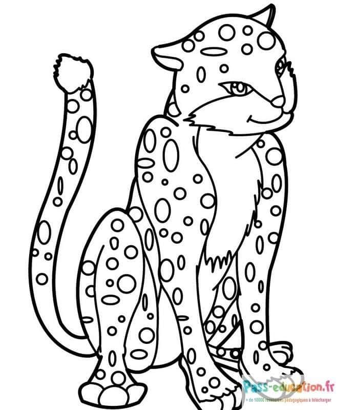 Coloriage Guépard attentif à imprimer et colorier